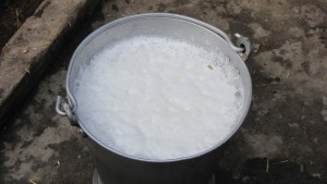 Milk Bucket - Foam the milk (step 2 of how to make cappuccino at home)