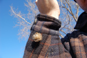 Dang burrs - Another form of burr