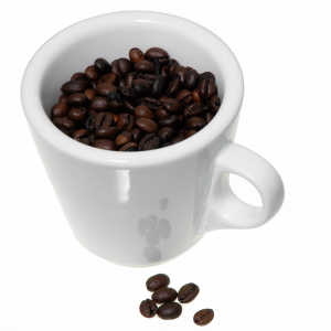 Coffee Bean Menu in a Cup