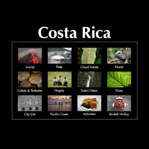 Costa Rica Coffee Brands