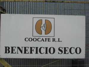 199 Coocafe - Protecting Costa Rica Coffee Brands