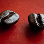 Best Dark Roast Coffee Beans