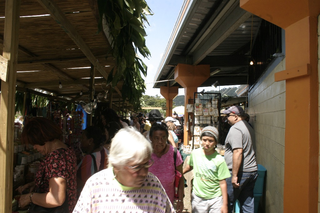 The Best Puerto Rico Coffee Brands The Coffee Bean Menu
